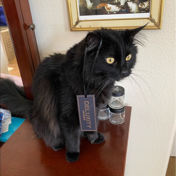 Meet your Posher, Christina - Picture 4 of 4